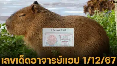 เลขเด็ด 1 ธ.ค. 67 สำนักอาจารย์แฮป หวยรัฐบาลไทย งวดนี้