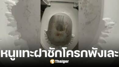 สุดทน ลูกบ้านแฉ หนูแทะฝาชักโครก โครงการดังปิดหูปิดตา ไม่ติดต่อกลับ