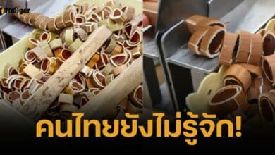 สื่อเวียดนามแนะนำ มาเที่ยวไทย ต้องซื้อ "ขนม" ชนิดนี้กลับไป อร่อยสุดๆ