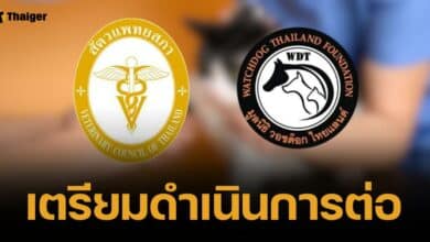 วอชด็อก จ่อเอาผิด แม่หยัว ปมวางยาสลบแมว สัตวแพทยสภา รับเรื่องต่อ