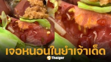 สาวแทบอ้วก เจอหนอนไต่ยั๊วะเยี๊ยะในมะเขือเทศ หลังสั่งยำเจ้าเด็ดมากิน