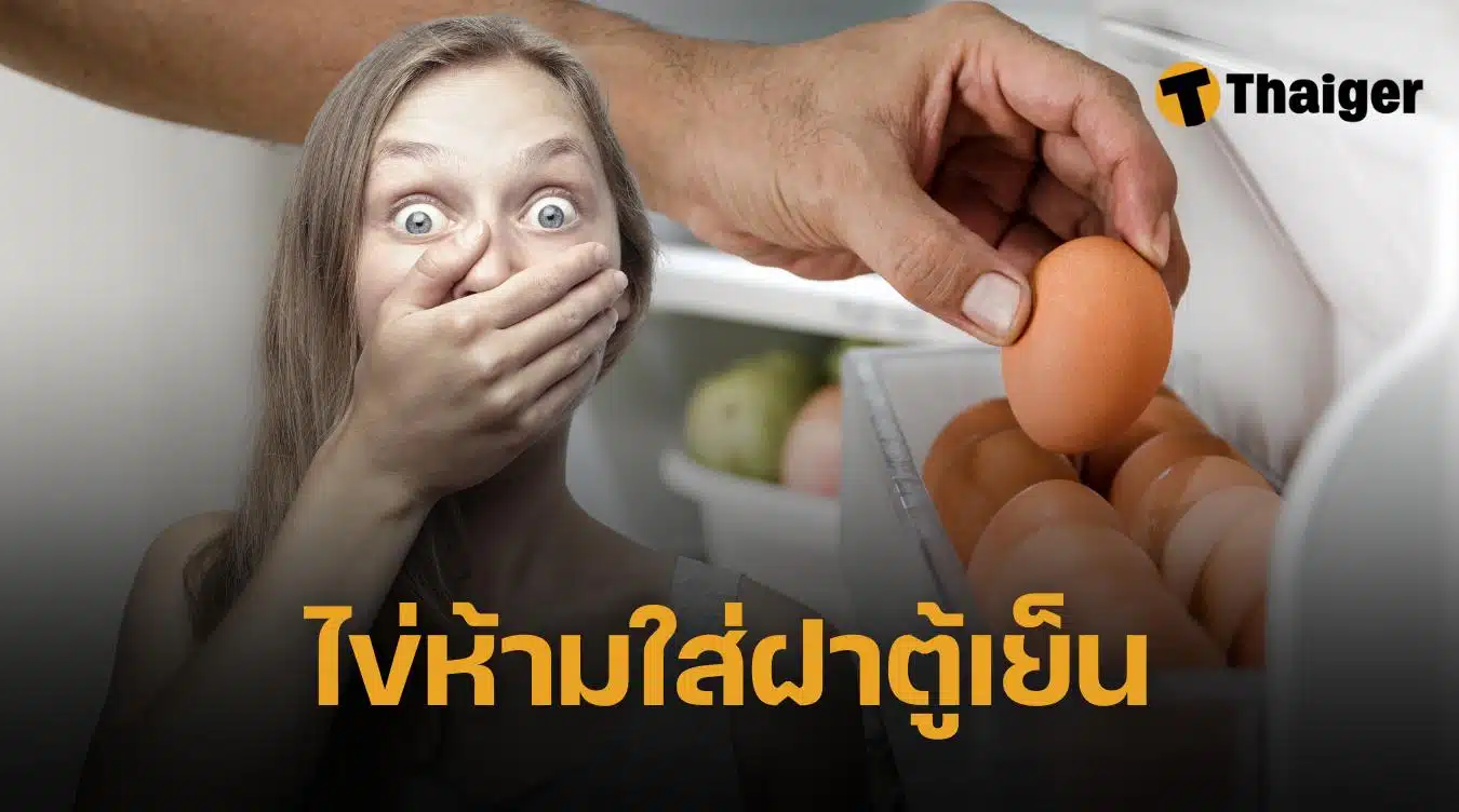 ไข่ไก่ห้ามเก็บข้างฝาตู้เย็น