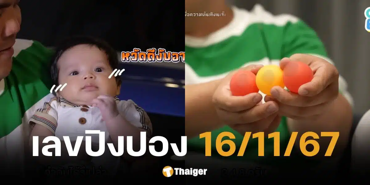 เลขปิงปองน้องคากิ งวด 16 พ.ย. 67