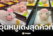 แม่ค้าขนมหวานจ.กระบี่ทำวุ้นหมูเด้งขายผ่านช่องทางออนไลน์