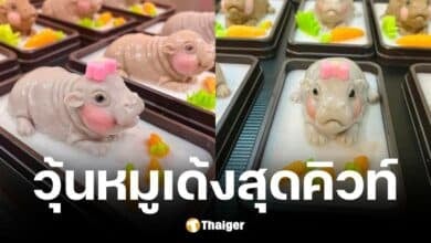 แม่ค้าขนมหวานจ.กระบี่ทำวุ้นหมูเด้งขายผ่านช่องทางออนไลน์