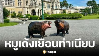 หมูเด้งบุกทำเนียบชูซอฟต์พาวเวอร์ไทย