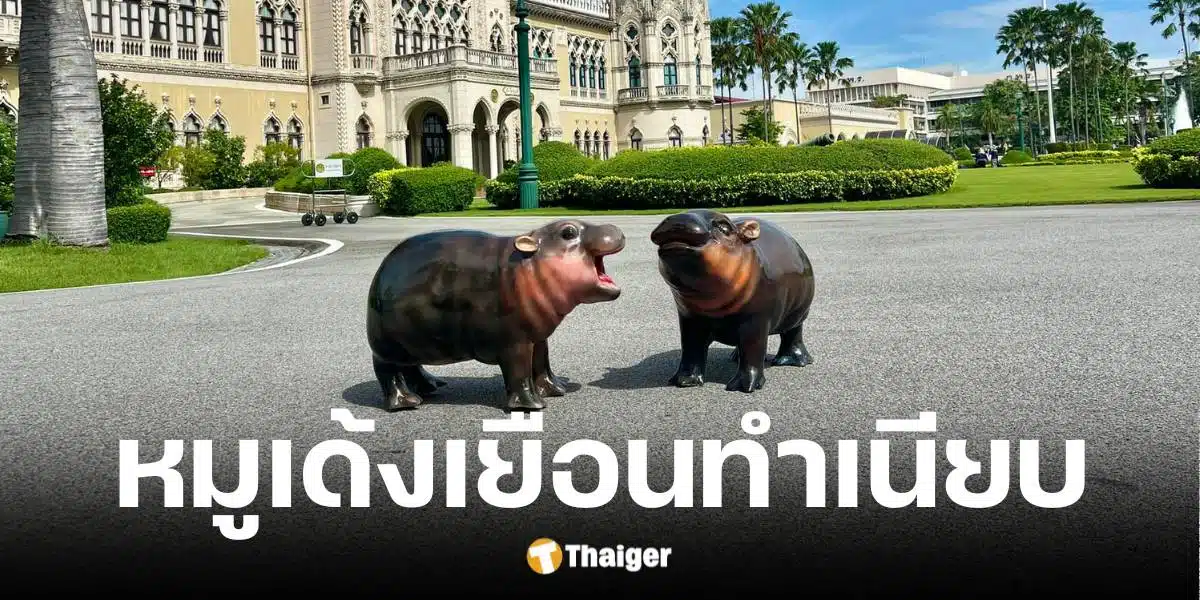 หมูเด้งบุกทำเนียบชูซอฟต์พาวเวอร์ไทย