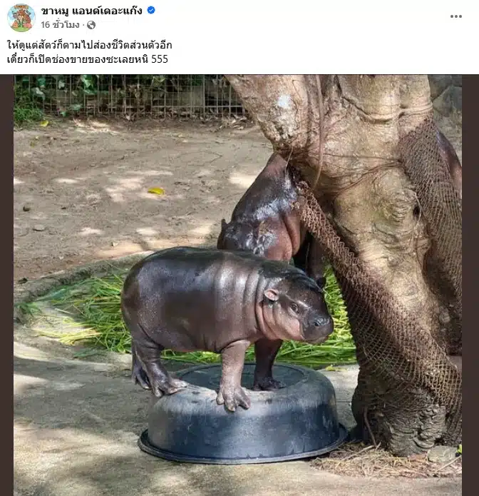 พ่อเบนซ์แจงหลังถูกขุดเรื่องส่วนตัว