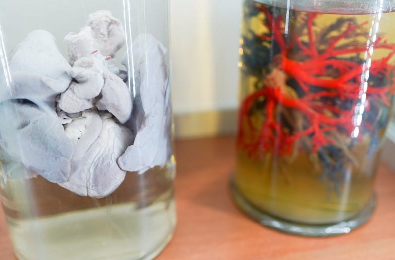 ฟอร์มาลีน