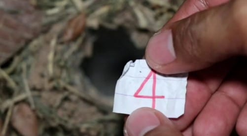 เลขเด็ด พญาบึ้ง 1 ธันวาคม 2567