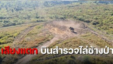 ขับฮอไล่ช้างภูกระดึง