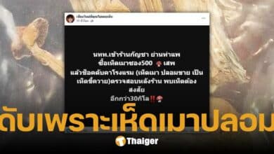 ร้านดัง ลอบขายเห็ดเมาปลอม นทท. เสพแล้วช็อก น้ำลายฟูมปาก ดับคาโรงแรม