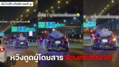 เขากวางติดรถ แต่งรถคริสต์มาสถูกจับ