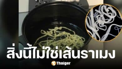 ขนลุกซู่ ภาพเส้นราเมงลอยเต็มหม้อ แท้จริงคือ พยาธิตัวตืด ตัวยาวเป็นข้อปล้อง