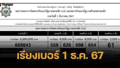 ใบตรวจหวยเรียงเบอร์ 1 ธันวาคม 2567 เช็กผลสลากกินแบ่งรัฐบาลทุกรางวัล