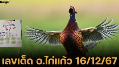 เลขเด็ด อาจารย์ไก่แก้ว งวด 16 ธ.ค. 67