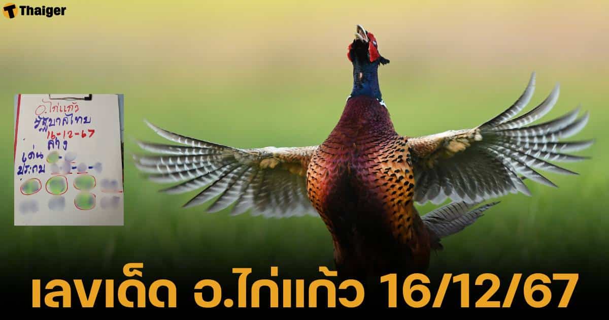 เลขเด็ด อาจารย์ไก่แก้ว งวด 16 ธ.ค. 67