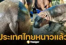 หมูเด้ง ยืนยัน ประเทศไทยเข้าสู่หน้าหนาวแล้ว อากาศแห้งจนผิวแห้งแตก ชาวเน็ตแห่คอมเมนต์แซว