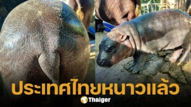 หมูเด้ง ยืนยัน ประเทศไทยเข้าสู่หน้าหนาวแล้ว อากาศแห้งจนผิวแห้งแตก ชาวเน็ตแห่คอมเมนต์แซว