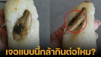 ซื้อข้าวเหนียวปิ้งไส้กล้วย เจอก้อนสีดำคิดว่าหัวจิ้งจก เฉลยแล้วมีอึ้ง โดนทัวร์ลงราคาแพงเกินไป