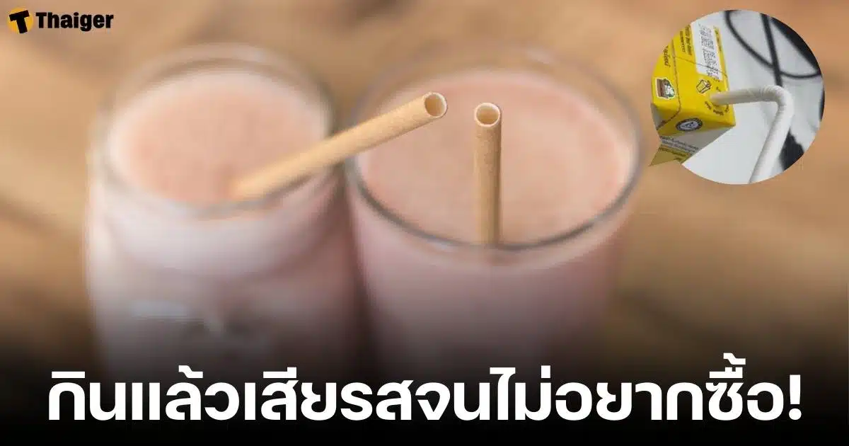 ตอบสงสัย หลอดกระดาษรักษ์โลก ดีกว่าหลอดพลาสติดจริงไหม ทำรสชาติเปลี่ยน คนไม่นิยมใช้