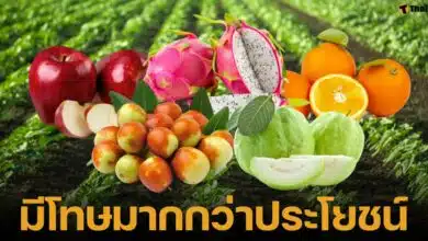 เตือนภัย ผลไม้ 5 ชนิด ผลสำรวจพบสารเคมีตกค้างเกินมาตรฐาน อันตรายต่อสุขภาพ