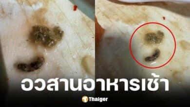 ที่พักภูทับเบิกเสริฟข้าวต้นที่มีหนอน ทักไปถามแต่กลับถูกเมิน