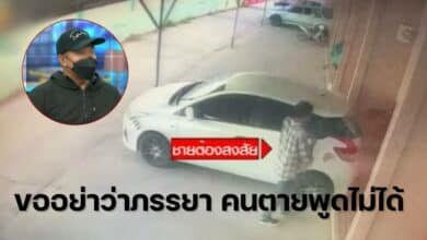 แทงสาวอ่างทอง 20 แผล