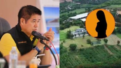 ธรรมนัสหวานใจนักการเมือง