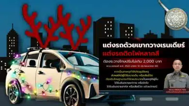 เขากวางเรนเดียร์ แต่งรถ