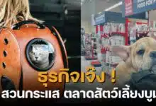 เปิดร้านขายอาหารสัตว์ ลงทุนเท่าไหร่