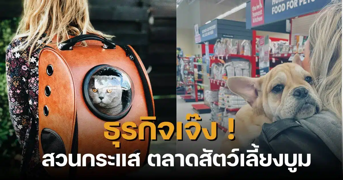 เปิดร้านขายอาหารสัตว์ ลงทุนเท่าไหร่