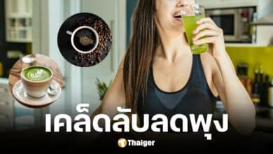 นักโภชนาการแนะ ดื่ม 3 เครื่องดื่มเผาผลาญไขมัน เพียงดื่มหลังอาหารเช้า