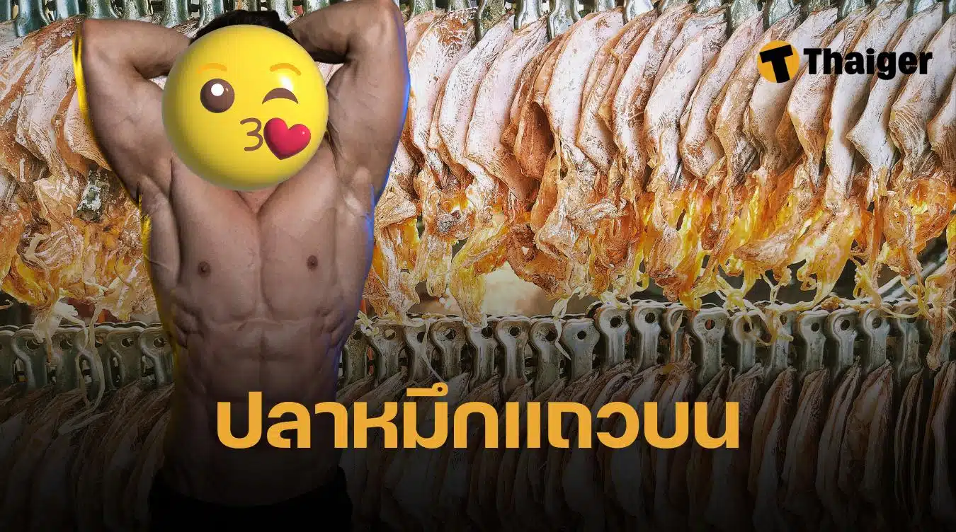 ปลาหมึกแถวบนคืออะไร