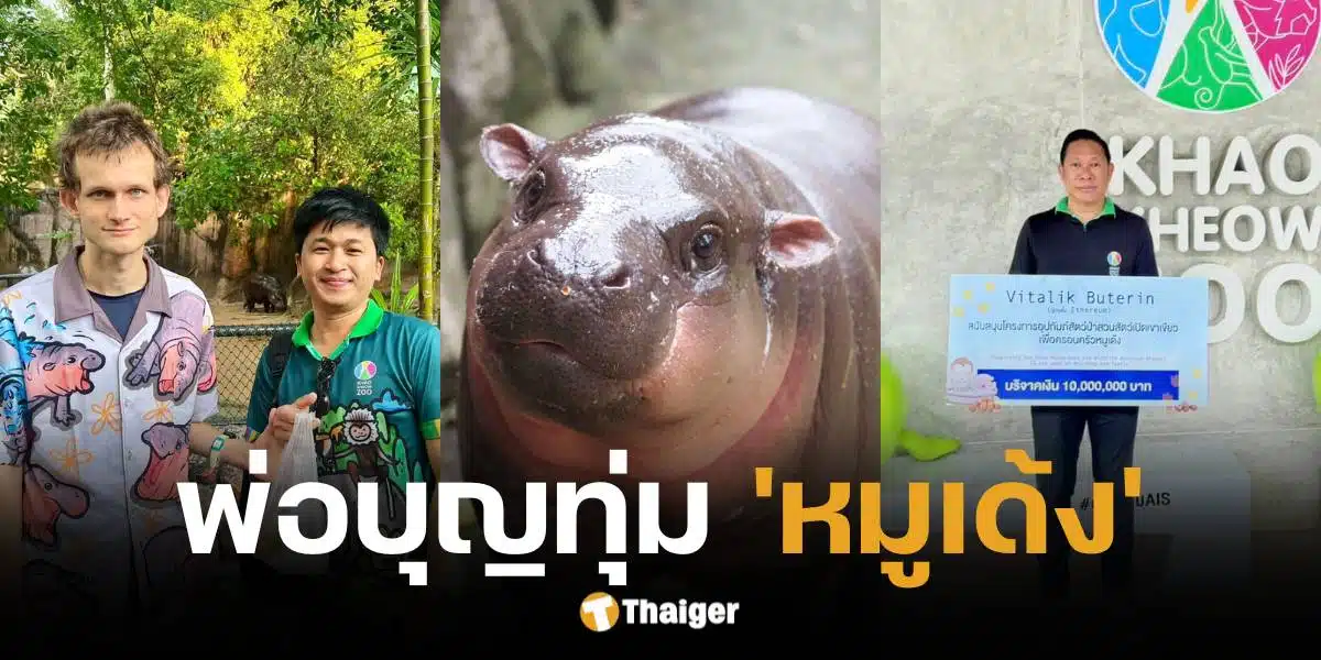 วิทาลิก บูเทอรินบริจาค 10 ล้านบาท สร้างบ้านใหม่ให้หมูเด้ง