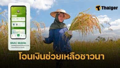 ตรวจสอบสิทธิเกษตร เงินช่วยชาวนา ไร่ละ 1,000 บาท