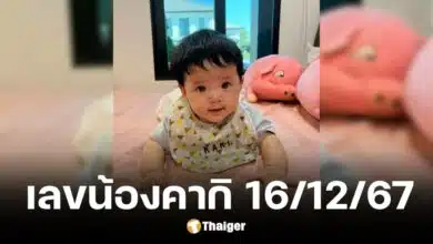 เลขเด็ดน้องคากิ งวด 16 ธันวาคม 2567