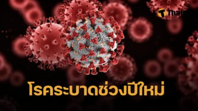 สธ. เตือน 6 โรคระบาดช่วงปีใหม่ ป่วยสะสมกว่าพันราย หมั่นสังเกตอาการ