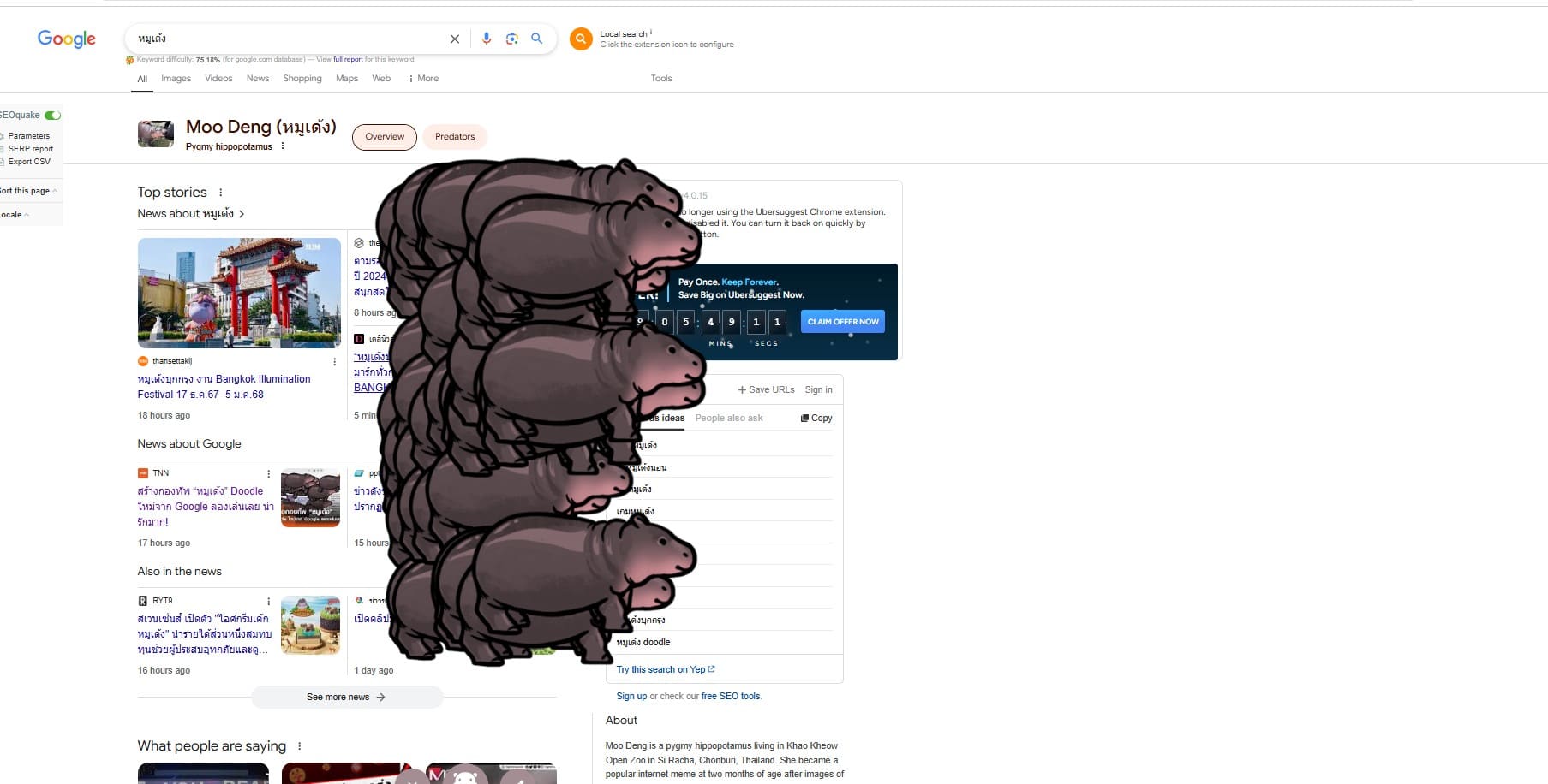 ขั้นตอนสร้างกองทัพหมูเด้ง google doodle 2024