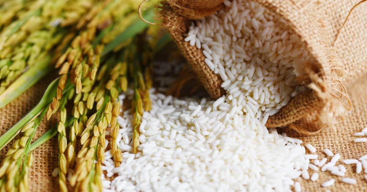 คดีระบายข้าวจีทูจี