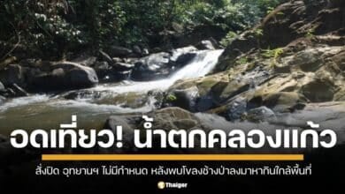 อุทยานฯ น้ำตกคลองแก้ว ประกาศปิดชั่วคราว หลังพบโขลงช้างป่าลงมาหากินใกล้บริเวณน้ำตก หวั่นกระทบความปลอดภัยนักท่องเที่ยว เจ้าหน้าที่เร่งเฝ้าระวังอย่างใกล้ชิด