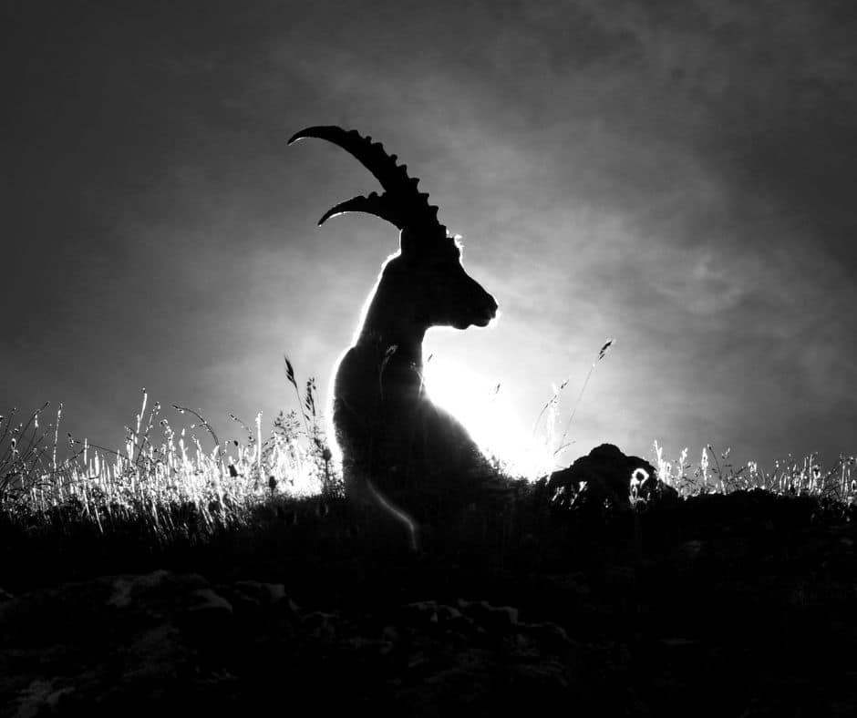 ดูดวงวันเหมายัน 2567 ราศีมังกร