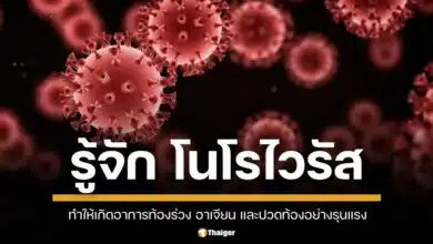 โนโรไวรัส เชื้อโรคตัวใหม่ ทำให้เกิดอาการท้องร่วงรุนแรง สามารถทนอยู่ในสภาพแวดล้อมได้นาน เจลแอลกอฮอล์ก็เอาไม่อยู่ ทั้งเด็กและผู้ใหญ่ เสี่ยงติดหมด เผยมาตรการป้องกัน หมั่นล้างมือคือดีที่สุด