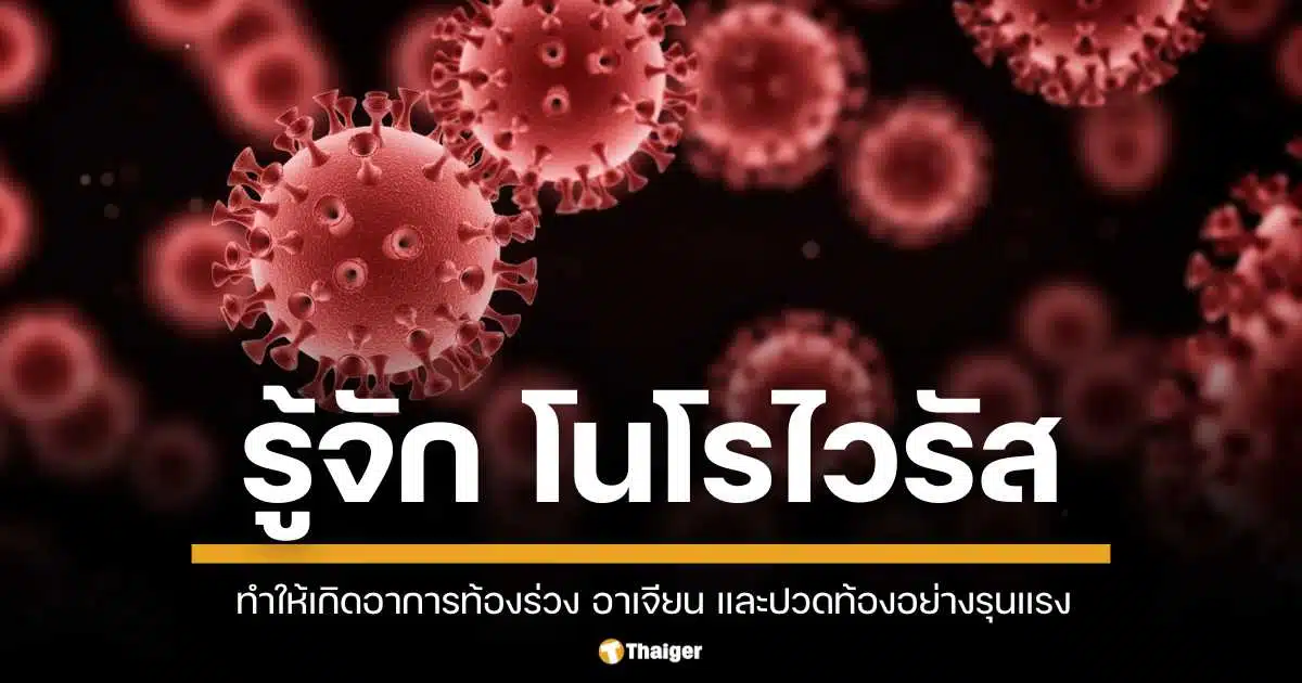 โนโรไวรัส เชื้อโรคตัวใหม่ ทำให้เกิดอาการท้องร่วงรุนแรง สามารถทนอยู่ในสภาพแวดล้อมได้นาน เจลแอลกอฮอล์ก็เอาไม่อยู่ ทั้งเด็กและผู้ใหญ่ เสี่ยงติดหมด เผยมาตรการป้องกัน หมั่นล้างมือคือดีที่สุด