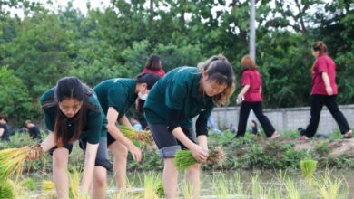 ม.เทคโนโลยีราชมงคลล้านนา ปลื้มบัณฑิตมีงานทำร้อยละ 73.38