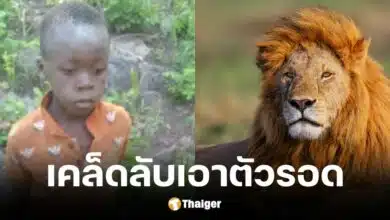 ทิโนเทนด้า ปูดู หลงป่าในดงสิงโต 40 ตัว เอาชีวิตรอดมาได้