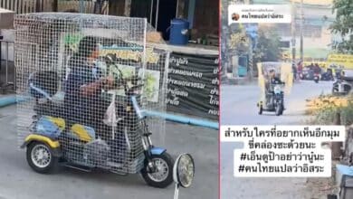 ป้าแก้ปัญหาหมากัด