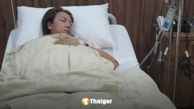 แม่น้องการ์ตูน ผ่าตัดด่วน หลังปวดท้องรุนแรง แพทย์แจงอาการ เสี่ยงไส้ติ่งอักเสบ-ติดเชื้อในลำไส้ แฟนคลับส่งกำลังใจท่วมท้น