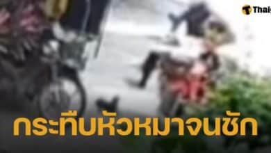 พนง.ขนส่ง ใจเหี้ยม กระทืบหัวหมาชิวาวา ก่อนจับร่างฟาดพื้น จนชัก อาการสาหัส อ้าง รำคาญเสียงเห่า