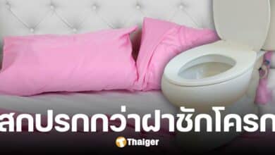 รู้หรือไม่ ปลอกหมอนไม่ซัก 7 วัน แบคทีเรียยั้วเยี้ยกว่าฝาชักโครกถึง 17000 เท่า